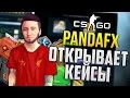 PANDAFX ОТКРЫВАЕТ КЕЙСЫ В CS GO 