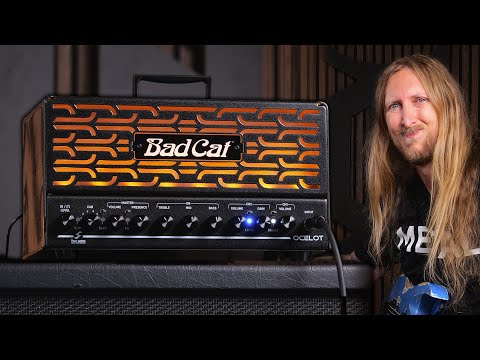 Bad Cat Ocelot 2-Channel 20-Watt Guitar Amp Head 2025 - Present - Black image 11