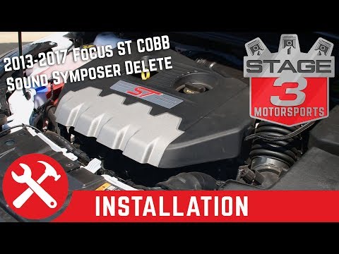 2013-2017 Focus ST COBB Sound Symposer Delete