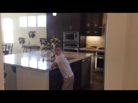 4459 Via Del Pellegrino, Palm Desert, CA 92260 Michael Peet-Paduano of BD Homes,  #01314075