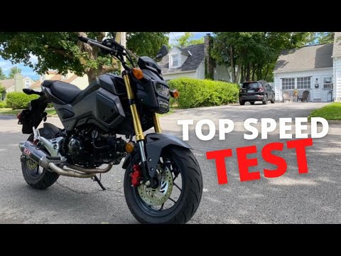Honda Grom Top Speed Test !! (with 230 lb Rider)