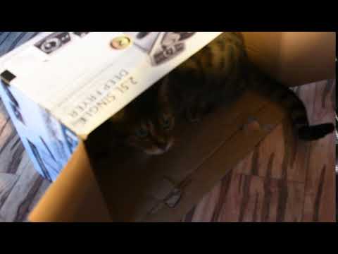 Keisha saying wayooo. I was surprised she actually did it.