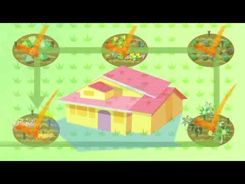 EFF22 Rainbow - Trailer