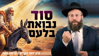 גם לך יש אפשרות לשנות מציאות כואבת! | פרשת בלק (הרב יואב אקריש) - התמונה מוצגת ישירות מתוך אתר האינטרנט יוטיוב. זכויות היוצרים בתמונה שייכות ליוצרה. קישור קרדיט למקור התוכן נמצא בתוך דף הסרטון גם לך יש אפשרות לשנות מציאות כואבת! | פרשת בלק (הרב יואב אקריש) - התמונה מוצגת ישירות מתוך אתר האינטרנט יוטיוב. זכויות היוצרים בתמונה שייכות ליוצרה. קישור קרדיט למקור התוכן נמצא בתוך דף הסרטון