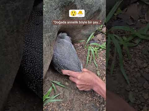 “Bir annenin koruduğu mucize…”