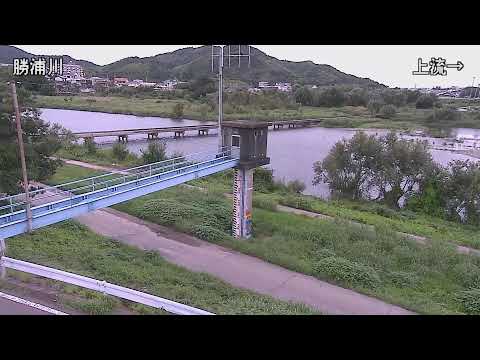 勝浦川 小松島市江田町中道のライブカメラ映像