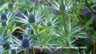 Point of It All (lyrics) feat. Sean Feucht