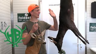 Trägerpräparat! So zieht man das Fell ab - Hunter Brothers