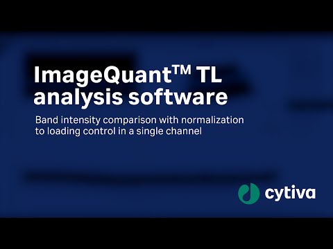 ImageQuant™ analysis software - Band intensity comparison to loading control