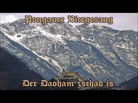 Pongauer Viergesang - Der Daoham zschad is