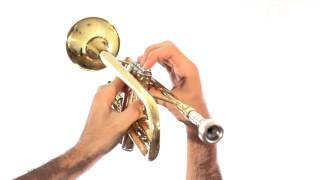 Trumpet Lesson 5: Learning the Valves