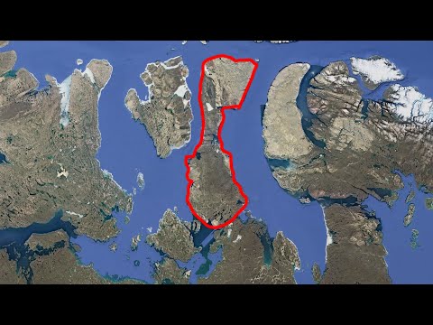 20 Oldest Fossils Ever Found