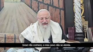 Como a pessoa se fortalece na fé? | Mensagem do Rav Shmuel Eliahu em português  (הרב שמואל אליהו) - התמונה מוצגת ישירות מתוך אתר האינטרנט יוטיוב. זכויות היוצרים בתמונה שייכות ליוצרה. קישור קרדיט למקור התוכן נמצא בתוך דף הסרטון