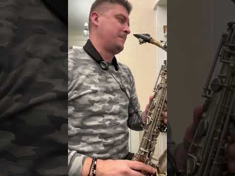 Malo za moju dusu / Milan Strasni