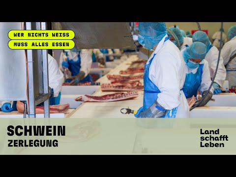 SCHWEIN (7/8) - Zerlegung