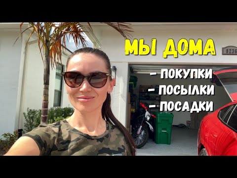 Купили шторы. Посадили пальму. Распаковка посылок. Благоустройство дома