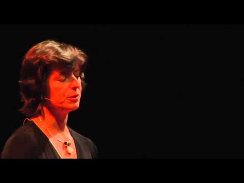 TEDxMidAtlantic 2011 - Danielle Brian - Unifying a Divided Country