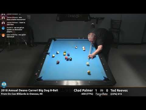 Chad Palmer vs Ted Reeves - 2018 Annual Deano Carreri Big Dog 8-Ball