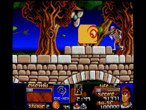 Risky Woods PC
