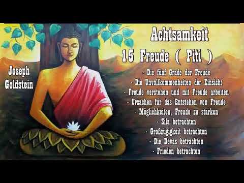 Achtsamkeit 15: Freude ( Piti ) - Joseph Goldstein