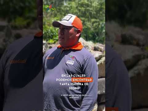 Descubre Café, Té y Chocolate – Tour Sensorial de 2 Días