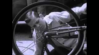 Video time sprout orchestra - fries pulls out the rotten child