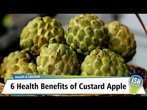 , title : '6 Health Benefits of Custard Apple'