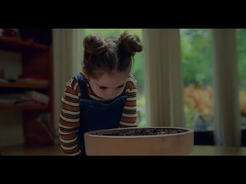 Fornøjelse - Jul Grankoglen