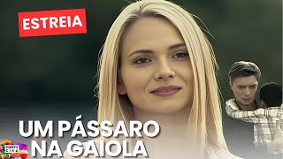 ELA PERDEU TUDO, MAS ENCONTROU FORÇAS PARA SE VINGAR E RETRIBUIR SEU AMOR! | UM PÁSSARO NA GAIOLA
