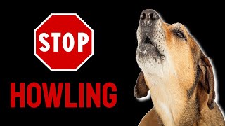 Sound To Stop Dog Howling