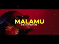 Malamu Instrumental Pallaso