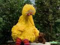 Big Bird And Radar