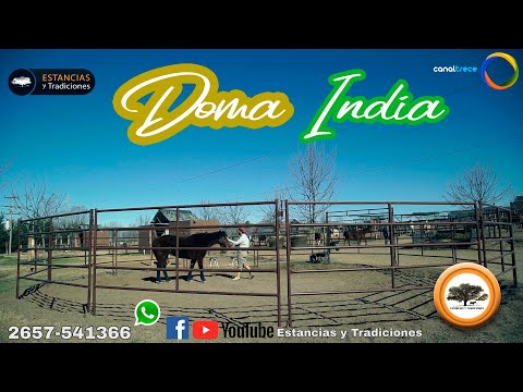 134 Doma India (Bloque 03) Estancias y Tradiciones