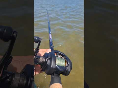 Pesca de Lenguados Modalidad Trolling Albufera de Mar Chiquita Provincia de Bs As Argentina #marchi