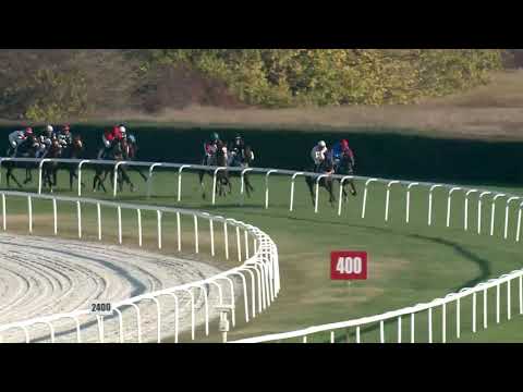 2019.11.03. 05. futam - KEREKES GÁBOR EMLÉKVERSENY - MAGYAR KÉTÉVESEK NAGYDÍJA( Elit kat.)