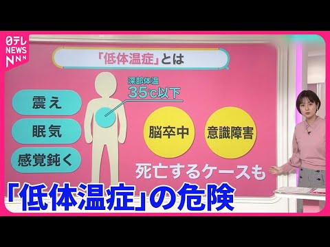 猫の低体温症 – 原因、症状、治療法