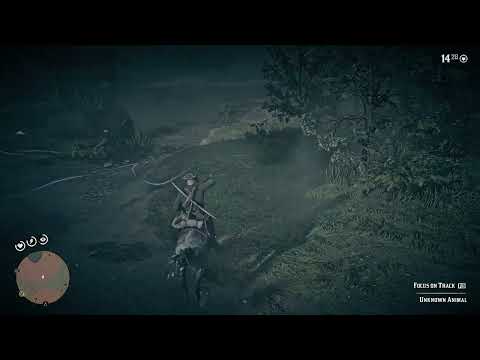 "Where's the Perfect Iguana" - Part 84 | Red Dead Redemption 2 | Playthrough 2026