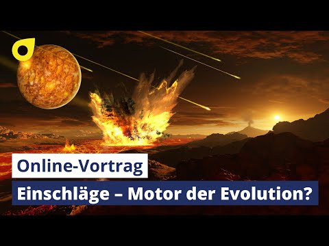 Neues aus der Unendlichkeit – kompakt: Einschläge – Motor der Evolution?