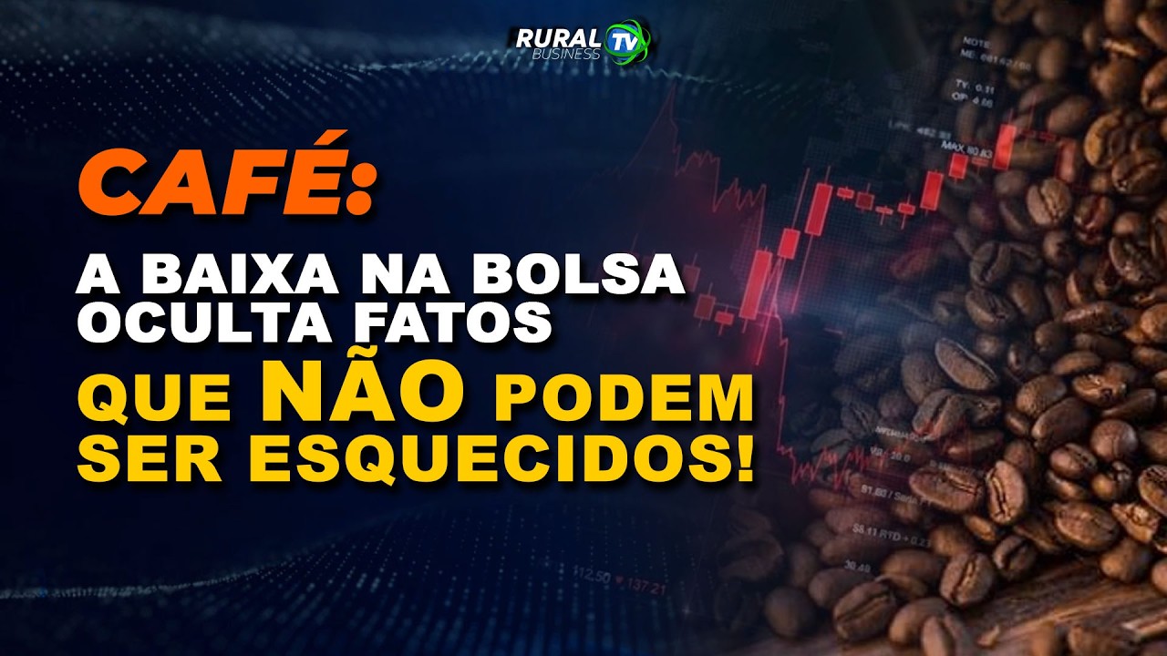 CAFÉ: A BAIXA NA BOLSA OCULTA FATOS QUE NÃO PODEM SER ESQUECIDOS!