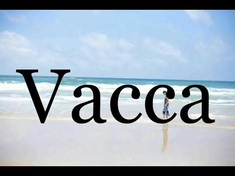 How To Pronounce Vacca🌈🌈🌈🌈🌈🌈Pronunciation Of Vacca