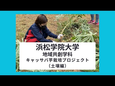 浜松学院大学 地域共創学科 キャッサバ芋栽培プロジェクト(土壌編)