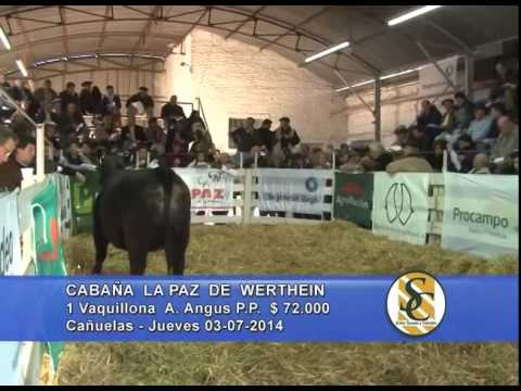 La Paz de Werthein - Parte 3 - Sáenz Valiente, Bullrich y Cía. S.A. - Cañuelas - 03/07/2014