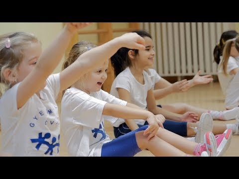 KSC PLUSZ - Ovikosár