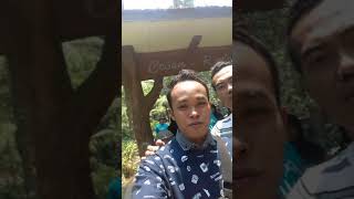 Download lagu Story wa orang goblok mp3