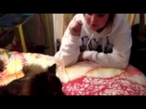 Dissing Your Dog.. #afterhours #funny