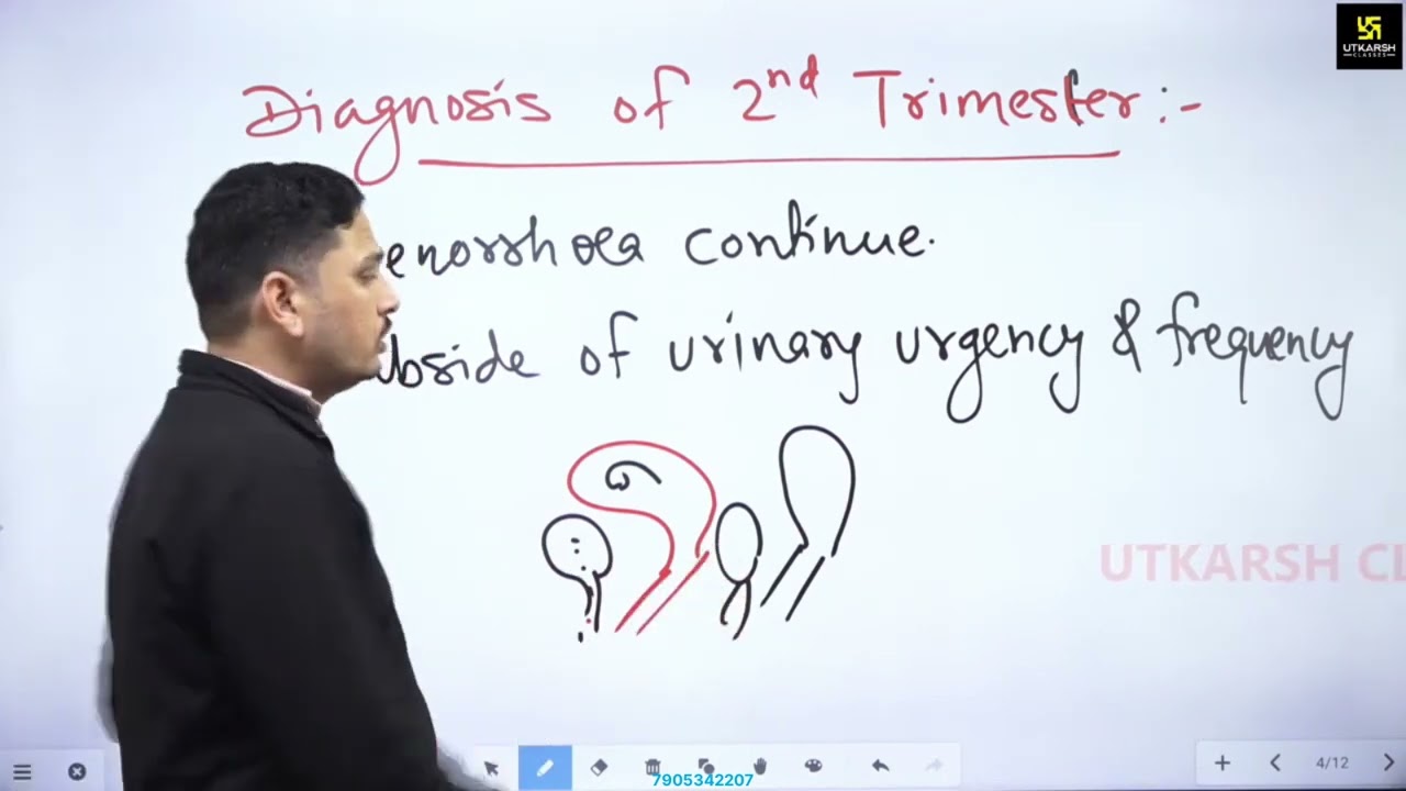 Part-7.3 Phisiological changes in pregnancy / Gynee