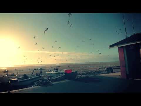 Florian Kruse ft. Brolin - Navigator (Nanonoise 2019 version)