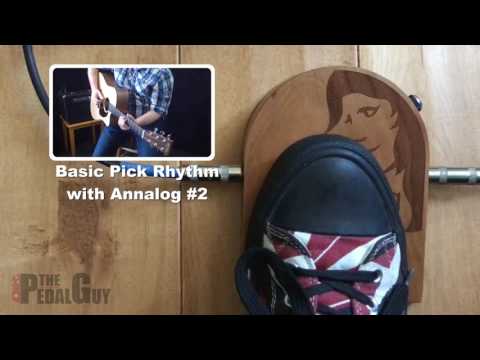 ThePedalGuy Presents the Ortega ANNAlog Stomp Box