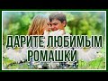 Дарите любимым ромашки... 