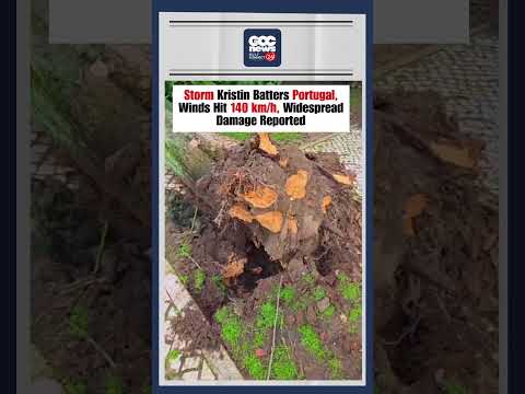 Portugal Storm Kristin 140kmh Winds Destruction Ingrid Joseph Extreme Weather